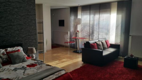 Apartment Rosy